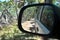 Reflections in a side view mirror of a car driving in the bush.