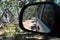 Reflections in a side view mirror of a car driving in the bush.