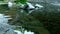 Reflections on the slow flowing water of the river, in the upper Reno valley, Pistoia, Italy