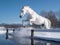 Reflections in the Snow at the Nakayama Grand Jump