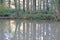 Reflections in Stover country park,