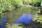 Reflections in Stover Lake, Devon