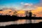 Reflections of sunset silhouette in the cypress swamp