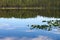 Reflections of trees and clouds in the evening light on the surface of a lake  along with some water lilies.