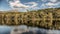 Reflections of trees on a Lake in Marbella