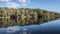 Reflections of trees on a Lake in Marbella