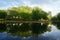 Reflections of trees on lake water, La Fontaine Park.