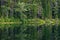 Reflections of trees in a pond, on the Kancamagus Highway, in White Mountain National Forest, New Hampshire