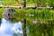 Reflections in the Water of Steamboat Spring Botanical gardens