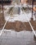 Reflections in Wet Paved Pedestrian Mall