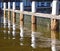 Reflections of wooden pylons