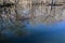 Reflections in a Woodland Marsh