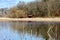 Reflective lake, marshland with grasses, reeds and trees in background. Blue sky with clouds overhead.