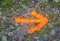 Reflective orange arrow