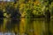 Reflective Still Pond in Autumn