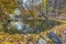 Reflective stream viewed on a sunny day in autumn