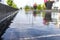 Reflective water surface - urban setting - pink flowers - blurred background