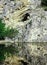 Reflex of climb in mountain lake near Gran Sasso