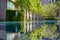 Reflexion of small trees in a clear water of pool