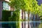 Reflexion of small trees in a clear water of pool