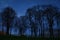 Reflexion of trees and sky on pond in Summer Garden in St. Petersburg