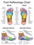 Reflexology Plantar Sole Profile Feet