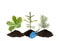 Reforestation background. Different small trees oak, spruce and pine tree in a pile of dirt with small gardening shovel, isolated