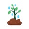 Reforestation Element Vector Flat Design