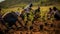 Reforestation project, a group of people planting seedlings on the soil in the morning