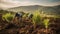 Reforestation project, a group of people planting seedlings on the soil in the morning