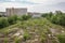 reforestation project in urban environment, with trees planted in vacant lots and on rooftops