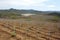 reforestation project, with view of completed projects visible in the background