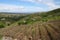 reforestation project, with view of completed projects visible in the background