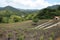 reforestation project, with view of completed projects visible in the background