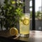 Refreshing glass of ice-cold lemonade with lemon slices and mint garnish