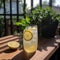 Refreshing glass of ice-cold lemonade with lemon slices and mint garnish