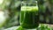 Refreshing green drink. Good eating habits concept