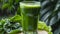 Refreshing green drink. Good eating habits concept