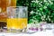 Refreshing kombucha tea with thyme in a glass on backdrop of blurred flowers. Healthy natural probiotic flavored drink