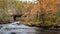 Refreshing Stream Flowing Under Bridge Deep in the Autumn Forest