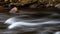 Refreshing Stream Hidden Deep in the Autumn Forest