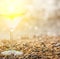 Refreshing summer drink in a glass on the beach, sparkling drops of water and pebbles in the surf line.