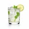 Refreshing Vodka Tonic Cup Mock Up With Lemon And Mint