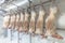 Refrigerated warehouse, hanging hooks of frozen lamb carcasses. Halal cut