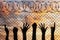 Refugees hands silhouette near the fence of barbed wire.