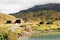 Refugio Paine Grande - Torres del Paine National Park - Chilean Patagonia