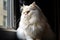 A regal and majestic Persian cat perched on a windowsill, showing off its luxurious and fluffy coat. Generative AI