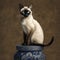 Regal Siamese Cat on Tall Perch