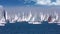 Regatta Barcolana, Sailing boat race