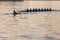 Regatta Rowing Skull Eights Race